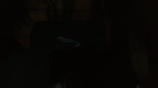 belindathompson online show from November 7, 2025, 10:54 pm