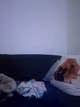 cuci45 online show from December 21, 2025, 1:13 am