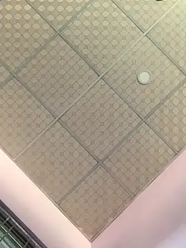 Hullax online show from November 7, 2025, 9:31 am