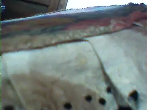 messi syssy online show from February 25, 2025, 10:58 am