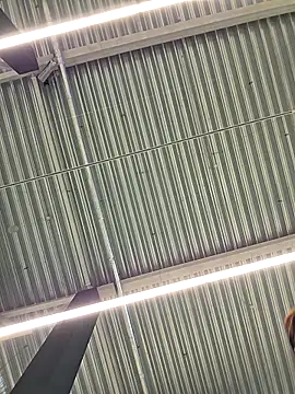 LeticiaWoods online show from October 19, 2025, 12:28 pm