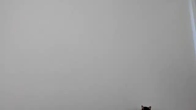 Snapshot of All_yours555 chatting on October 17, 2025, 8:55 pm All yours555 online show from October 17, 2025, 8:55 pm