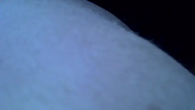 Snapshot of Mariomario0565 chatting on January 31, 2025, 8:11 am Mariomario0565 online show from January 31, 2025, 8:11 am