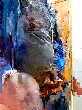 Snapshot of Jeffikuis chatting on September 23, 2025, 3:31 am Jeffikuis online show from September 23, 2025, 3:31 am