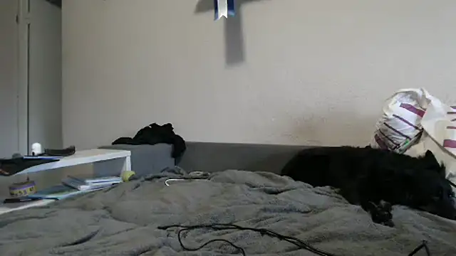 delightful sofi online show from October 9, 2025, 2:26 pm