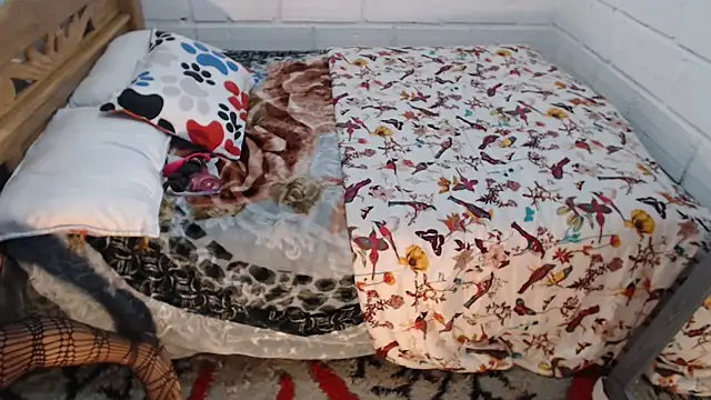 sexyjustin202 online show from December 15, 2025, 10:58 pm