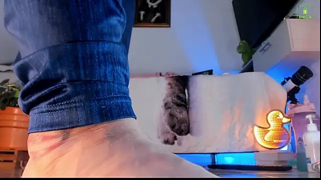 miaa-lee online show from October 23, 2025, 4:28 pm