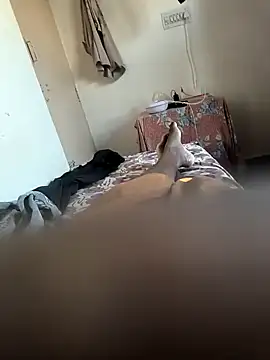 Mallupaiyanaachu online show from February 5, 2025, 2:08 am