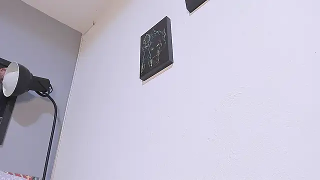 Snapshot of damn_fox chatting on December 11, 2024, 6:25 am damn fox online show from December 11, 2024, 6:25 am