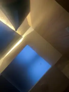 CeliWoods online show from February 6, 2026, 11:13 am