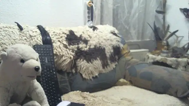 SexySantaC online show from December 16, 2025, 9:09 pm