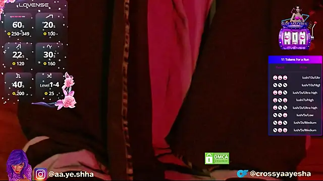 CrossyAayesha online show from November 25, 2025, 4:40 pm