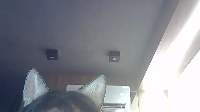 Skinny-Kitten online show from December 20, 2025, 11:39 am