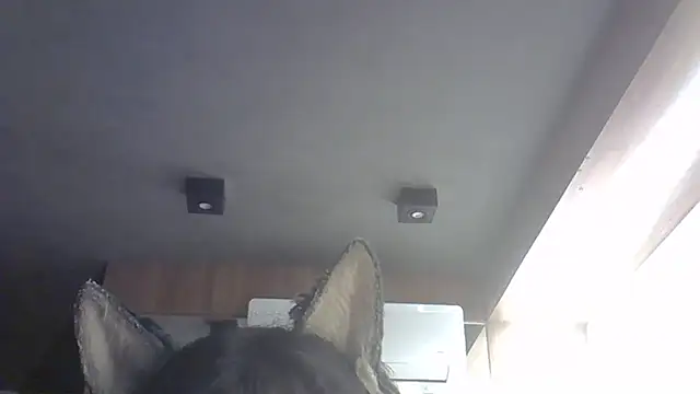 Skinny-Kitten online show from February 14, 2026, 2:03 pm