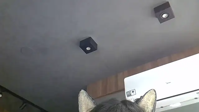 Skinny-Kitten online show from March 4, 2026, 5:24 am