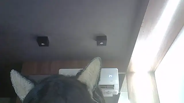 Skinny-Kitten online show from March 21, 2026, 12:10 pm