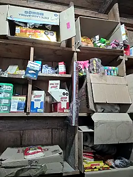 Evehampy online show from January 3, 2025, 9:57 pm