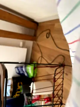 la chiennete online show from September 27, 2025, 1:05 pm