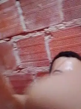 w31 online show from November 17, 2025, 1:55 am