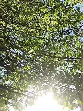 hottottrot691 online show from September 28, 2025, 9:09 pm