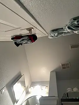 VipSection407 online show from January 13, 2026, 3:50 pm