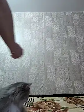 EffectFiona online show from January 5, 2025, 4:04 am