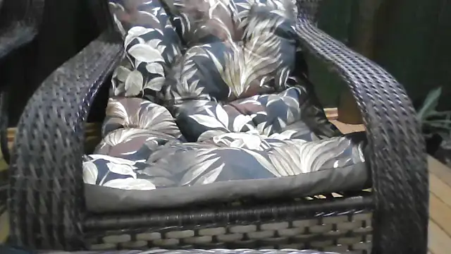 Kellynha Sweet online show from December 21, 2025, 1:13 am