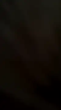 ft2022W online show from February 2, 2025, 5:37 pm