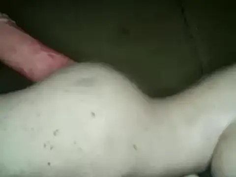 xxxlecram online show from March 4, 2025, 7:19 am