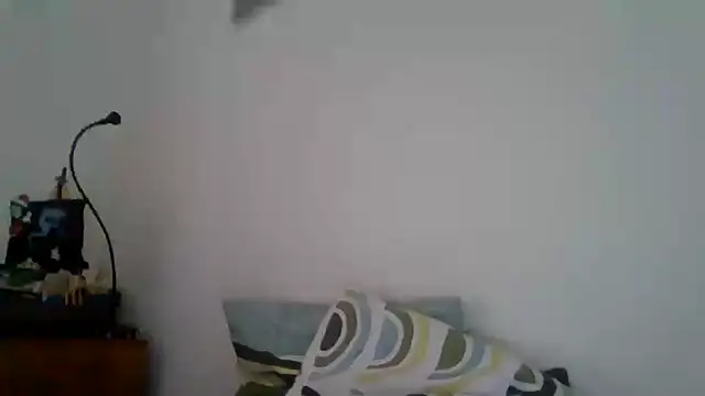 Snapshot of joaodias_97 chatting on February 17, 2025, 2:26 pm joaodias 97 online show from February 17, 2025, 2:26 pm