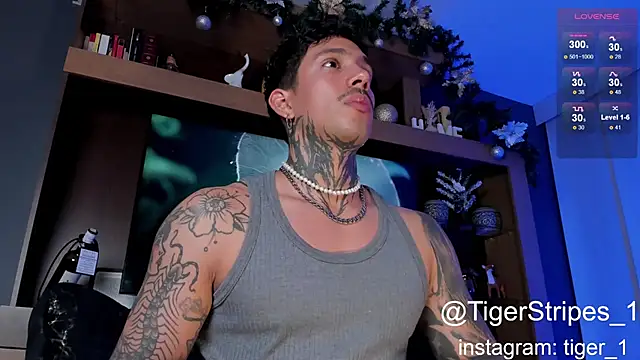 TigerStripes1  online show from January 4, 2025, 4:44 am