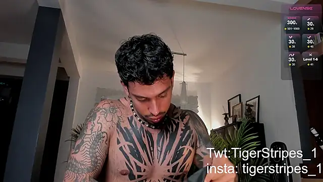 TigerStripes1  online show from February 28, 2025, 12:43 am