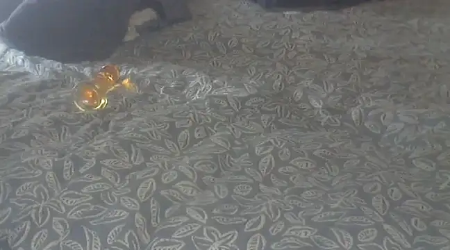 michaelknight101 online show from December 15, 2024, 1:22 pm