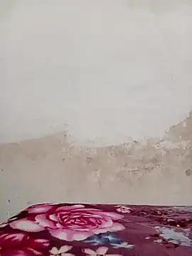 Snapshot of 09punjabi chatting on December 19, 2024, 11:07 am 09punjabi online show from December 19, 2024, 11:07 am