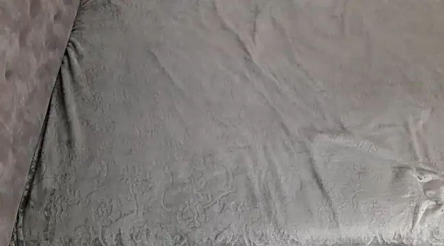 lili 70 online show from December 8, 2024, 2:19 pm