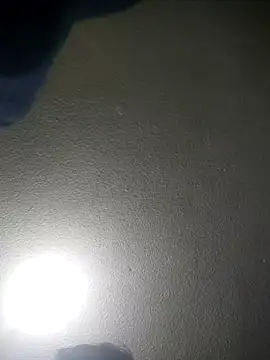 Elcogetuquieres online show from January 7, 2026, 7:00 am